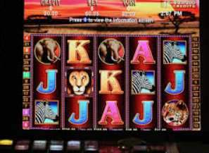 AG飞禽走兽多人版2024最新版